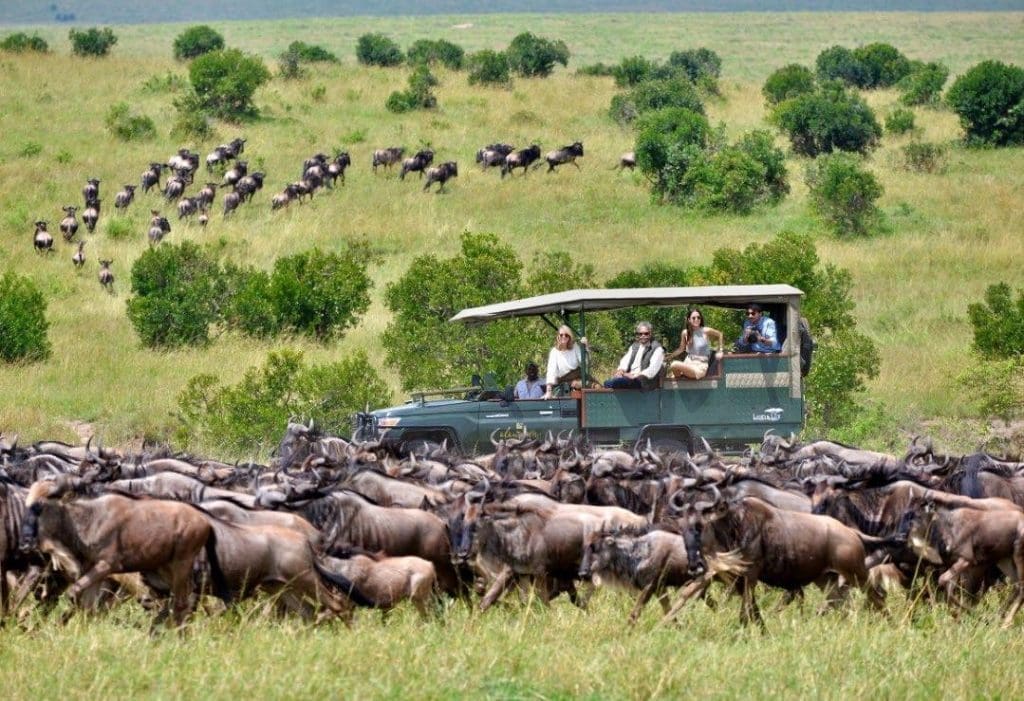  The Best Time of Year for an African Safari Adventure