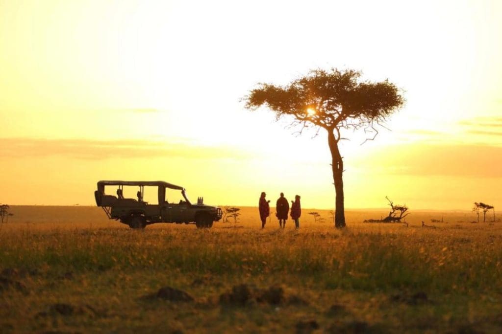  The Best Time of Year for an African Safari Adventure